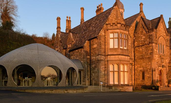 Caffi newydd y Plas new cafe